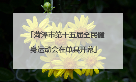 菏泽市第十五届全民健身运动会在单县开幕