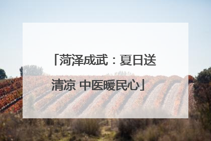 菏泽成武：夏日送清凉 中医暖民心