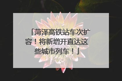 菏泽高铁站车次扩容！将新增开直达这些城市列车！