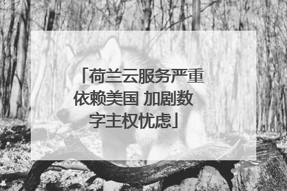 荷兰云服务严重依赖美国 加剧数字主权忧虑