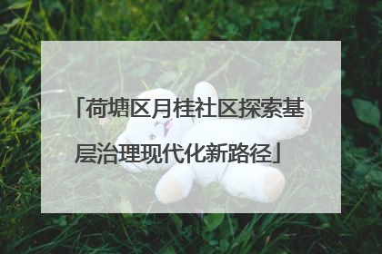 荷塘区月桂社区探索基层治理现代化新路径