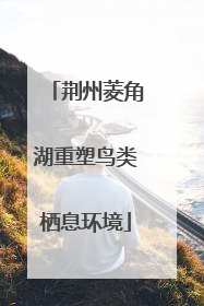 荆州菱角湖重塑鸟类栖息环境