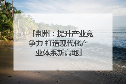 荆州：提升产业竞争力 打造现代化产业体系新高地