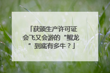 获颁生产许可证 会飞又会游的“鲲龙”到底有多牛？