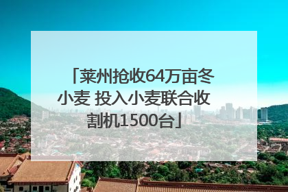 莱州抢收64万亩冬小麦 投入小麦联合收割机1500台