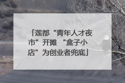 莲都“青年人才夜市”开摊 “盒子小店”为创业者兜底