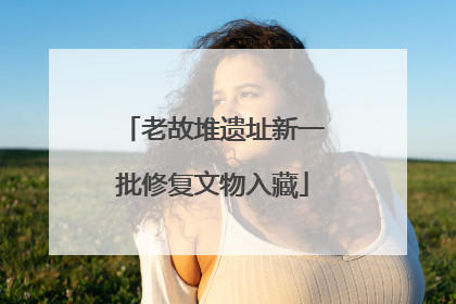 老故堆遗址新一批修复文物入藏