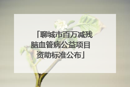 聊城市百万减残脑血管病公益项目资助标准公布