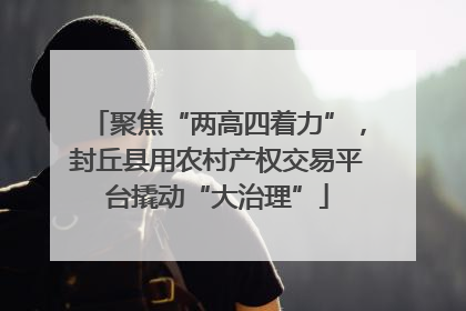 聚焦“两高四着力”，封丘县用农村产权交易平台撬动“大治理”