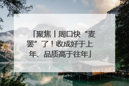 聚焦丨周口快“麦罢”了！收成好于上年、品质高于往年