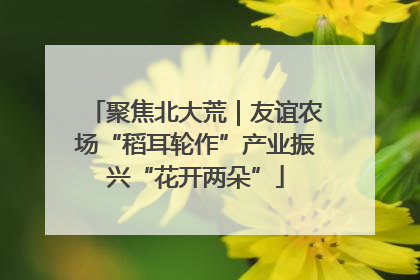 聚焦北大荒｜友谊农场“稻耳轮作”产业振兴“花开两朵”