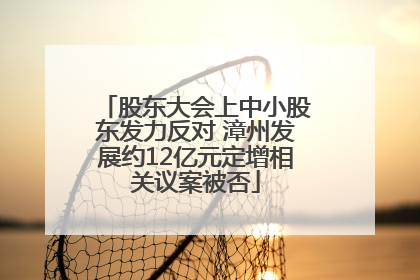股东大会上中小股东发力反对 漳州发展约12亿元定增相关议案被否