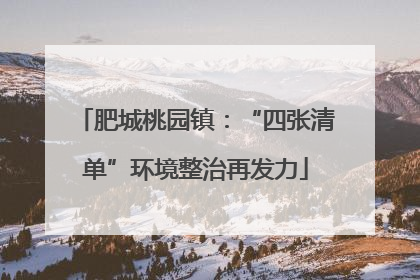 肥城桃园镇：“四张清单”环境整治再发力