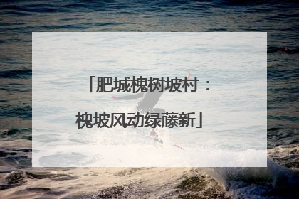 肥城槐树坡村：槐坡风动绿藤新