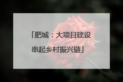 肥城：大项目建设串起乡村振兴链