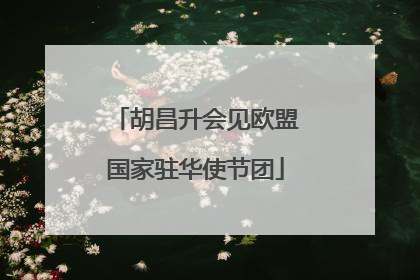 胡昌升会见欧盟国家驻华使节团