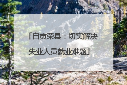 自贡荣县：切实解决失业人员就业难题