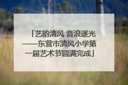 艺韵清风 音浪逐光——东营市清风小学第一届艺术节圆满完成