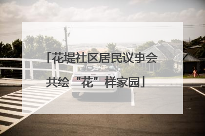 花堤社区居民议事会共绘“花”样家园