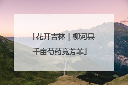 花开吉林｜柳河县千亩芍药竞芳菲