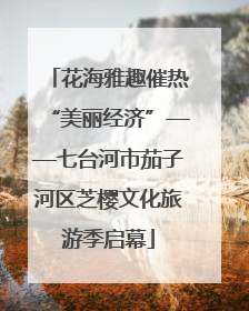 花海雅趣催热“美丽经济”——七台河市茄子河区芝樱文化旅游季启幕