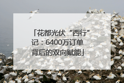 花都光伏“西行”记：6400万订单背后的双向赋能