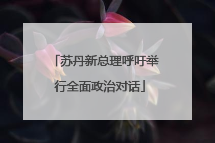 苏丹新总理呼吁举行全面政治对话