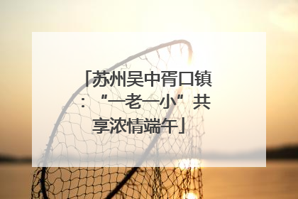 苏州吴中胥口镇：“一老一小”共享浓情端午