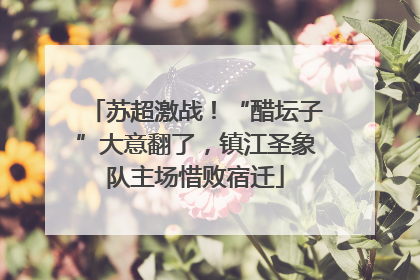 苏超激战！“醋坛子”大意翻了，镇江圣象队主场惜败宿迁