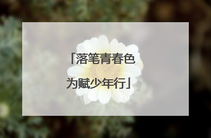 落笔青春色 为赋少年行