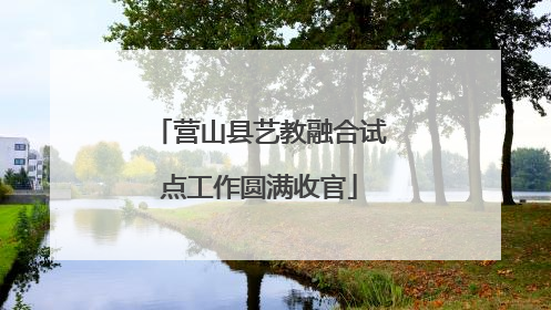 营山县艺教融合试点工作圆满收官