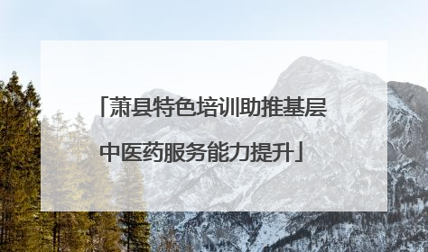 萧县特色培训助推基层中医药服务能力提升
