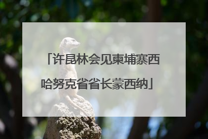 许昆林会见柬埔寨西哈努克省省长蒙西纳