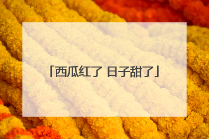 西瓜红了 日子甜了