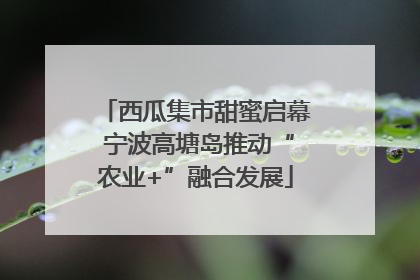 西瓜集市甜蜜启幕 宁波高塘岛推动“农业+”融合发展