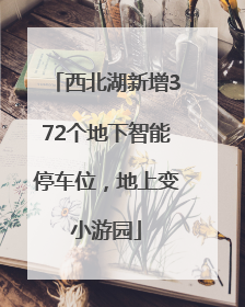 西北湖新增372个地下智能停车位，地上变小游园