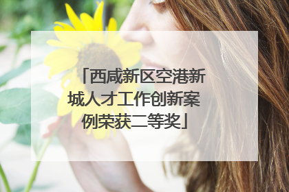 西咸新区空港新城人才工作创新案例荣获二等奖