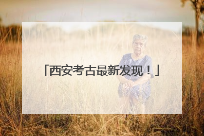 西安考古最新发现！
