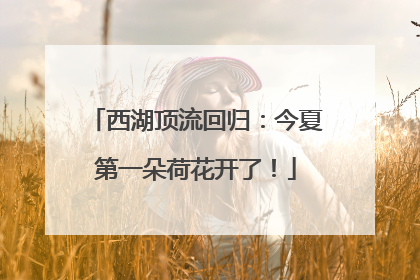 西湖顶流回归：今夏第一朵荷花开了！