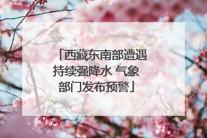 西藏东南部遭遇持续强降水 气象部门发布预警