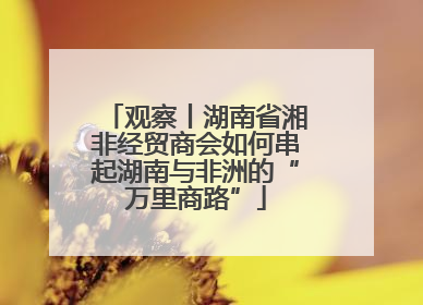 观察丨湖南省湘非经贸商会如何串起湖南与非洲的“万里商路”