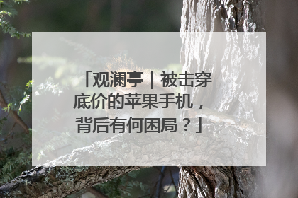观澜亭｜被击穿底价的苹果手机，背后有何困局？