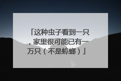 这种虫子看到一只，家里很可能已有一万只（不是蟑螂）