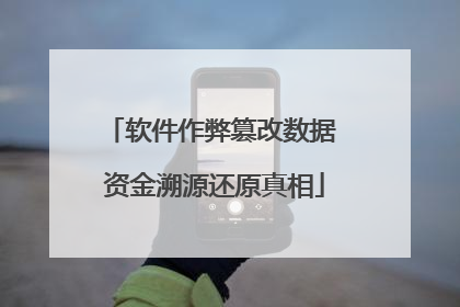 软件作弊篡改数据 资金溯源还原真相