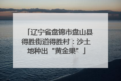 辽宁省盘锦市盘山县得胜街道得胜村：沙土地种出“黄金果”