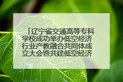辽宁省交通高等专科学校成功举办低空经济行业产教融合共同体成立大会暨共建低空经济产教融合新生态论坛