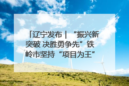 辽宁发布｜“振兴新突破 决胜勇争先”铁岭市坚持“项目为王”推进经济高质量发展