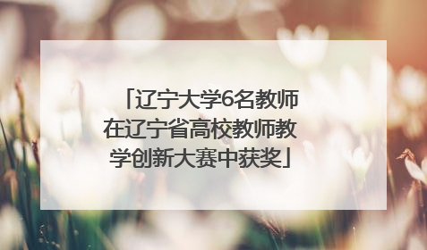 辽宁大学6名教师在辽宁省高校教师教学创新大赛中获奖