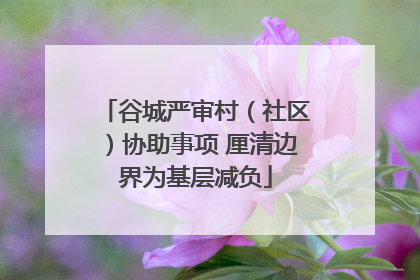 谷城严审村（社区）协助事项 厘清边界为基层减负