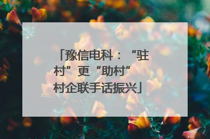 豫信电科：“驻村”更“助村” 村企联手话振兴
